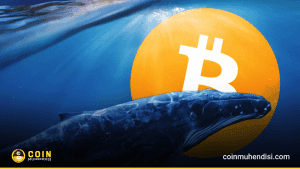 Bitcoin Balinasından Dev Transfer! Neler Oluyor?