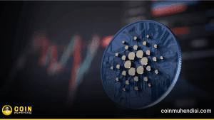 Cardano’da Balina Birikimi Rekor Kırdı: Arzın %67’si Kilitlendi