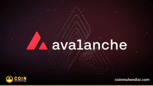 Avalanche (AVAX) Ralli Ne Zaman Başlayacak? Bu Seviyelere Dikkat!