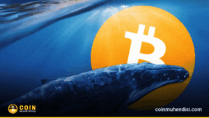 Küçük Yatırımcı Bitcoin Alırken Balinalar Ne Yapıyor?