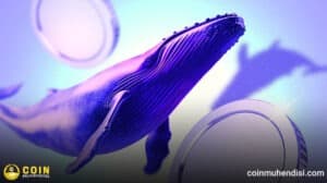 Balinalar Piyasada Aktif: Hangi Altcoinleri Alıyorlar?