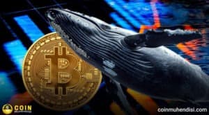 Bitcoin’de Panik Satışı: Milyon Dolarlık BTC’yi Zararla Satıldı