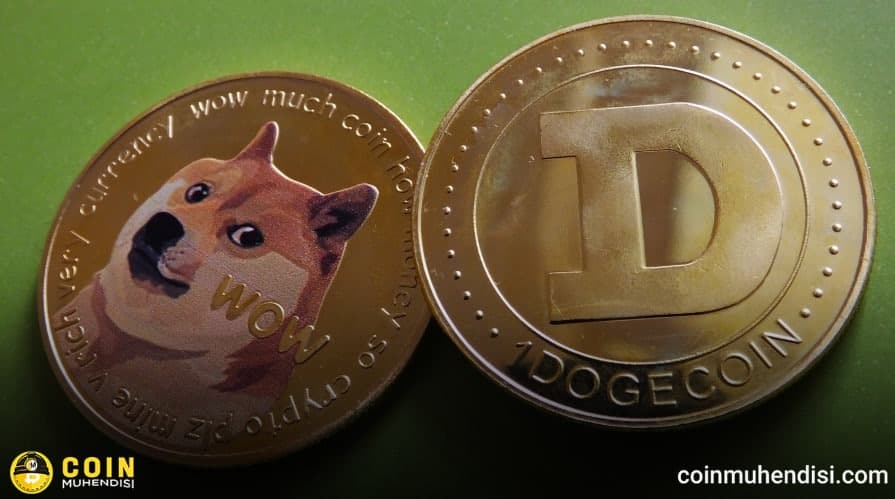 Dogecoin Sosyal İlgi Göstergesi Şaşırttı!