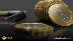 Kripto Piyasasında Yeni Döngü: Kurumsallar Boğa, Bireyseller Ayı!