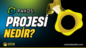 PAX Gold (PAXG) Nedir?