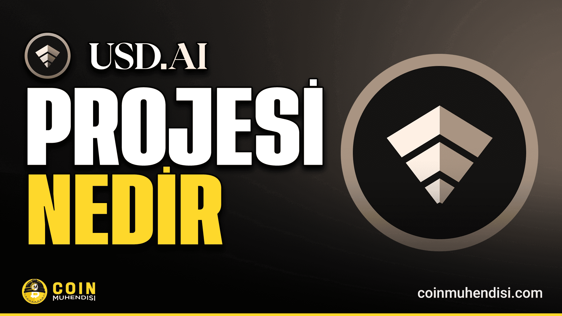 USD.AI (CHIP) Nedir?