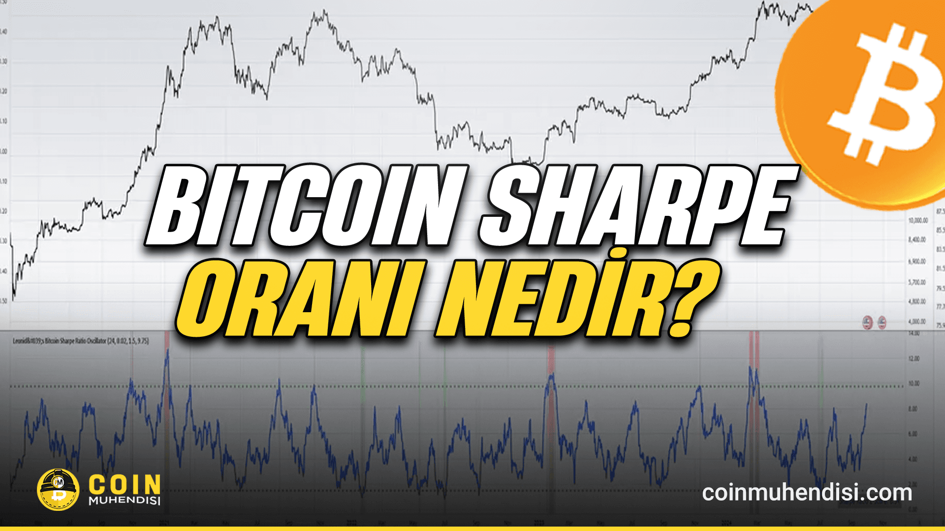Bitcoin Sharpe Oranı Nedir?