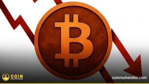 Bitcoin Neden Düşüyor, BTC Ayı Bölgesinemi Girdi?