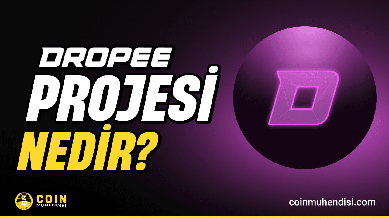 Dropee (DROPEE) Nedir?
