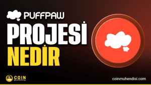Puffpaw (VAPE) Nedir?