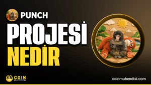 PUNCH Token Nedir?