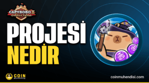 Capybobo (PYBOBO) Nedir?