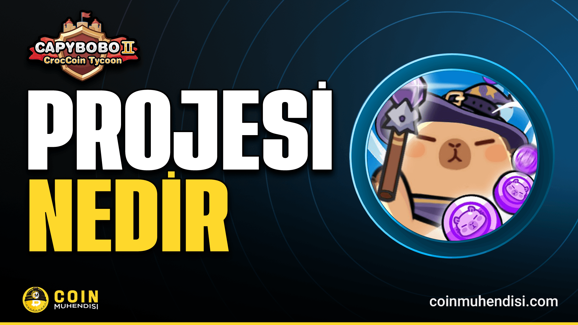 Capybobo (PYBOBO) Nedir?