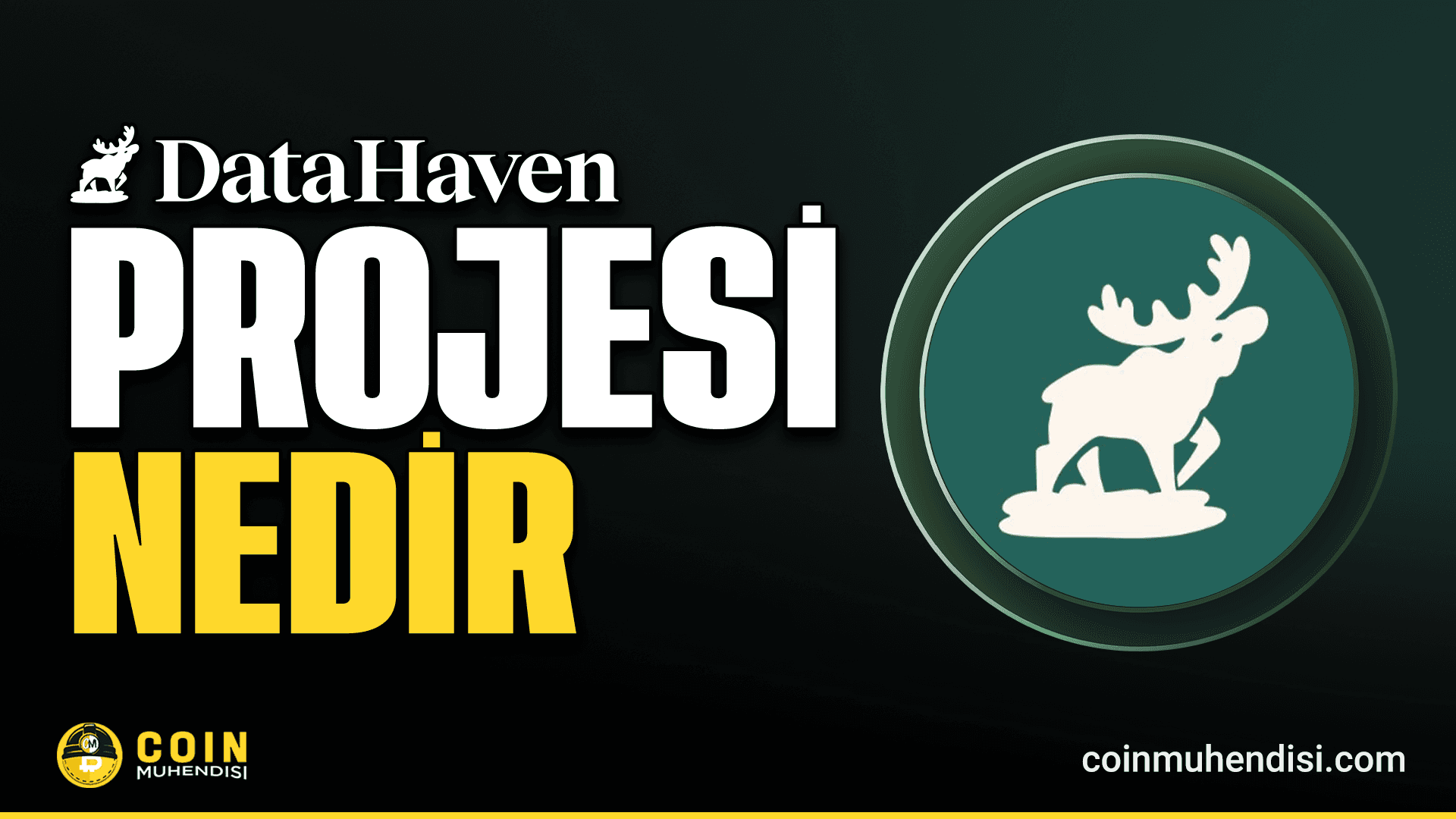 DataHaven (HAVE) Nedir?