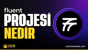 Fluent (BLEND) Nedir?