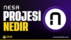 Nesa (NES) Nedir?