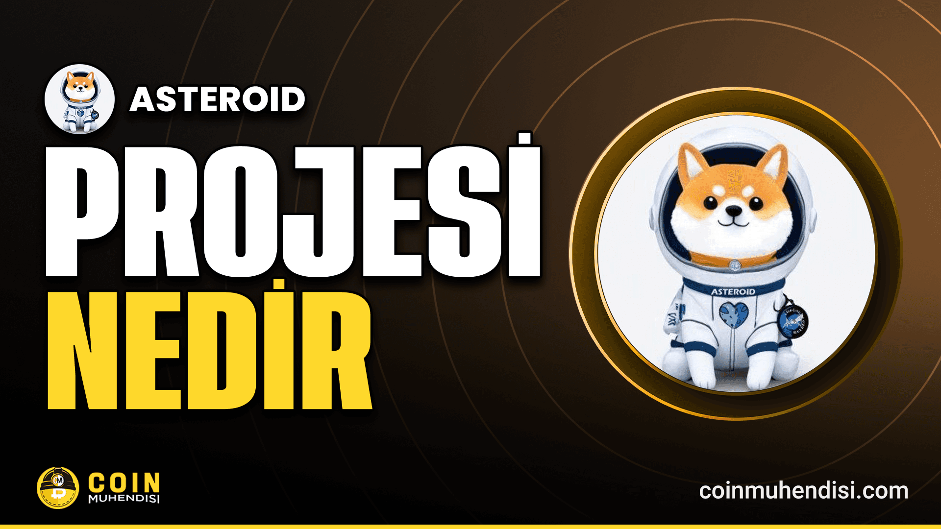 Asteroid Shiba (ASTEROID) Nedir?