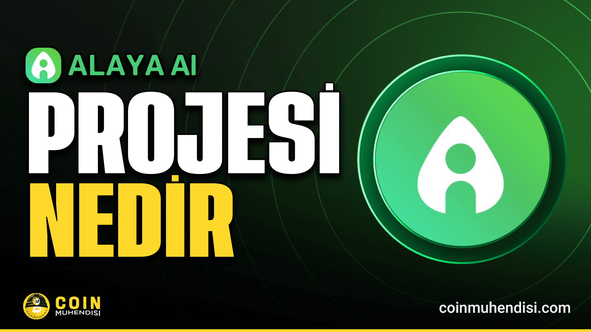 Alaya Governance Token (AGT) Nedir?