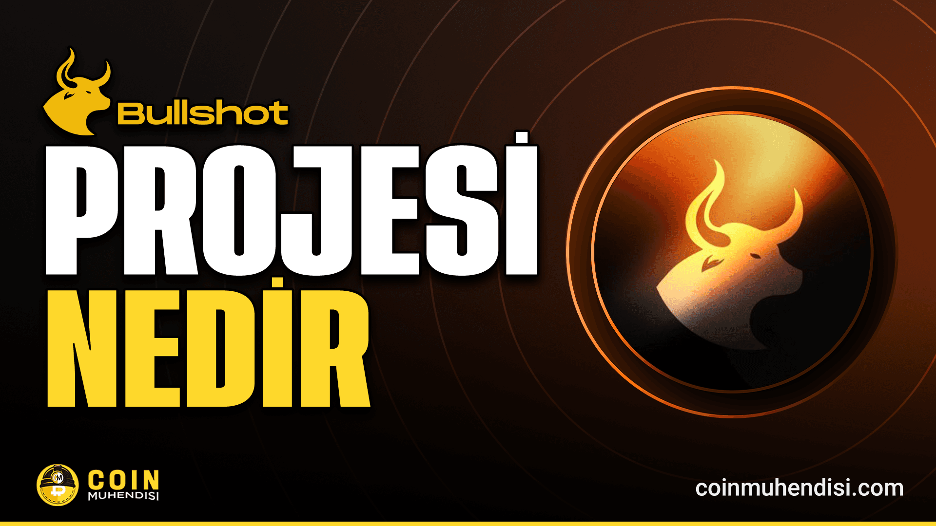 Bullshot (BULL) Nedir?