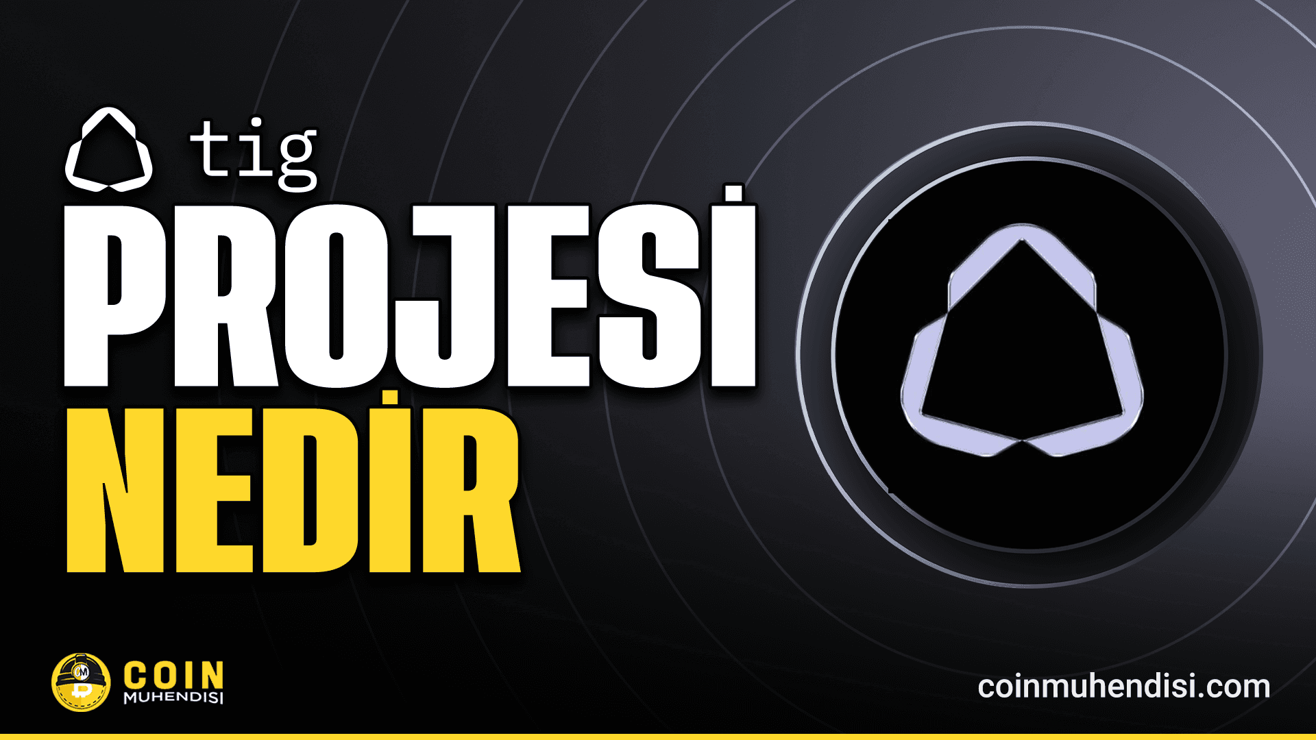 The Innovation Game (TIG) Nedir?