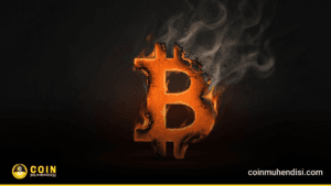 12 Yıl Tutulan 8.5 Milyon Dolarlık Bitcoin Bir Anda Yakıldı