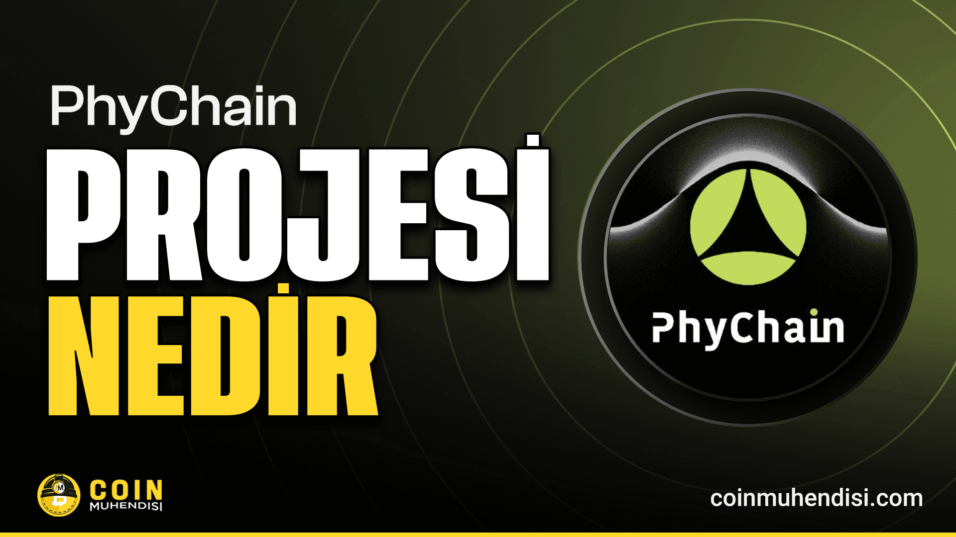 PhyChain (PHY) Nedir?