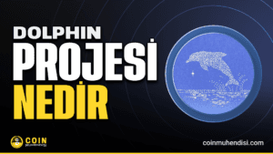 Dolphin (POD) Nedir?