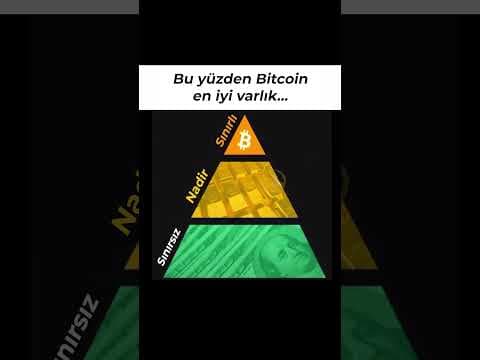 Bitcoin mi, Altın mı, Dolar mı? En İyi Varlık Hangisi?