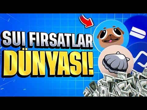 BU VIDEO ÇOK KAZANDIRACAK | SUI İLE HAYATIMIZ DEĞİŞEBİLİR