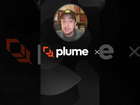 RWA Sektörü Henüz Yolunun Çok Başında Olabilir! Plume Network Nedir?