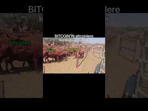 Altcoinlerin babası 🔥#bitcoin #altcoin #kriptopara