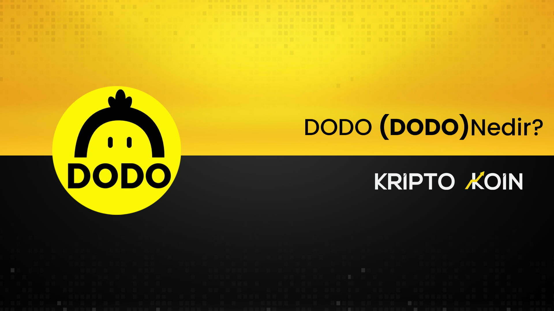 DODO Nedir? DODO Ne İşe Yarar? - Coin Mühendisi