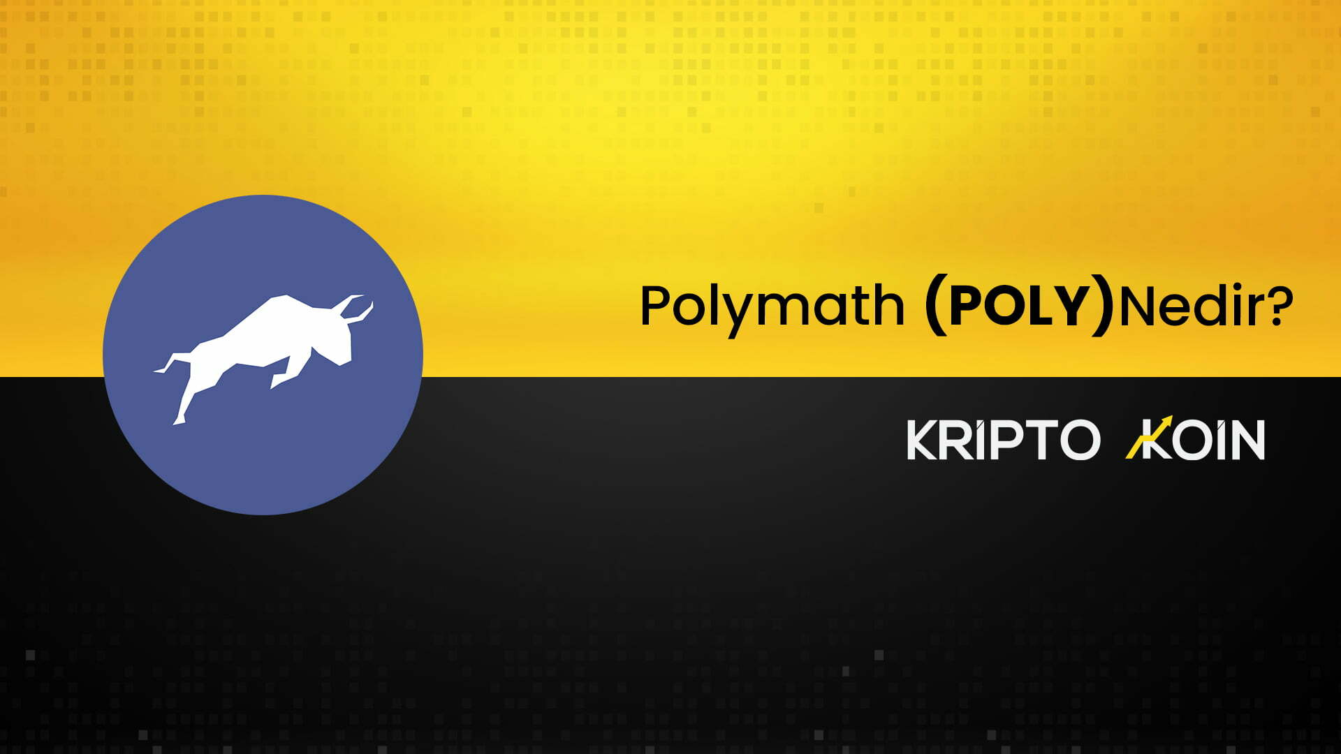 Polymath Nedir? POLY Ne İşe Yarar? - Coin Mühendisi