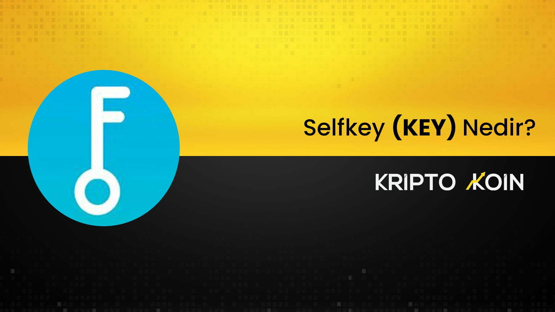 Selfkey Nedir? KEY Coin Nasıl Alınır? Coin Mühendisi