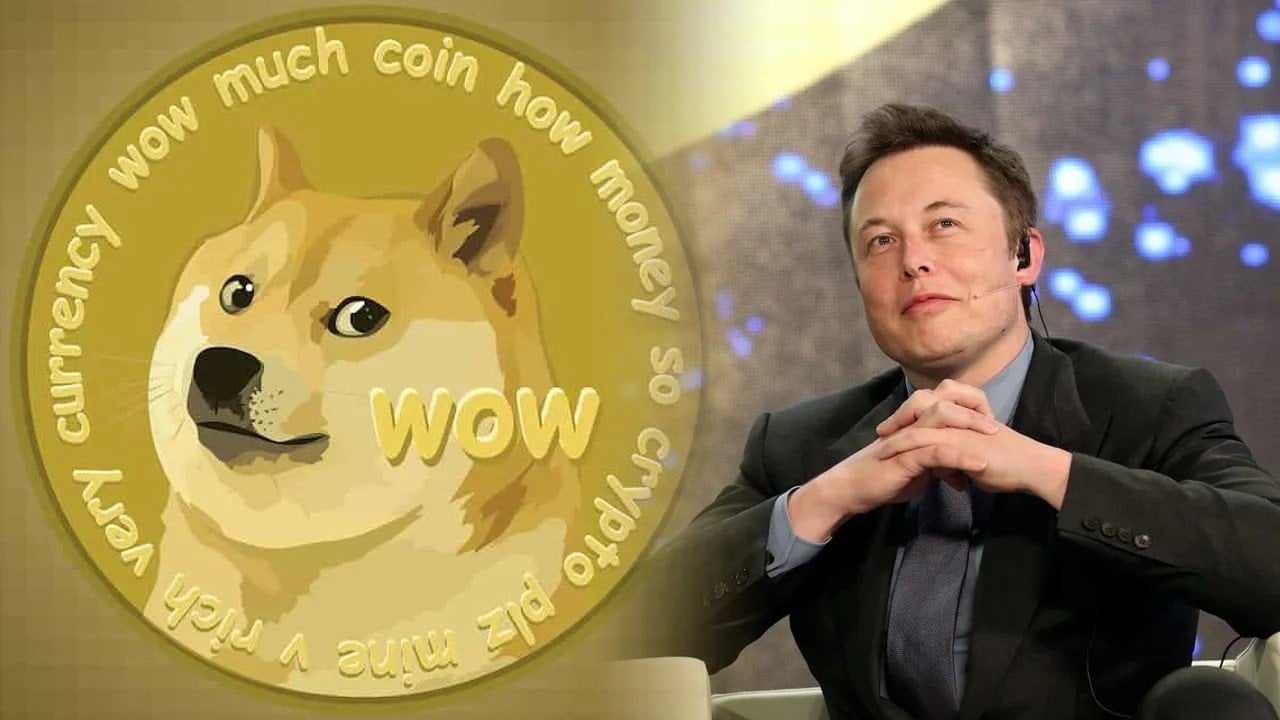 Dogecoin (DOGE) Kaç TL? - Coin Mühendisi