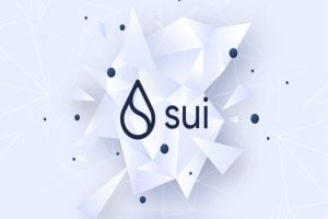 Sui Blockchain nedir