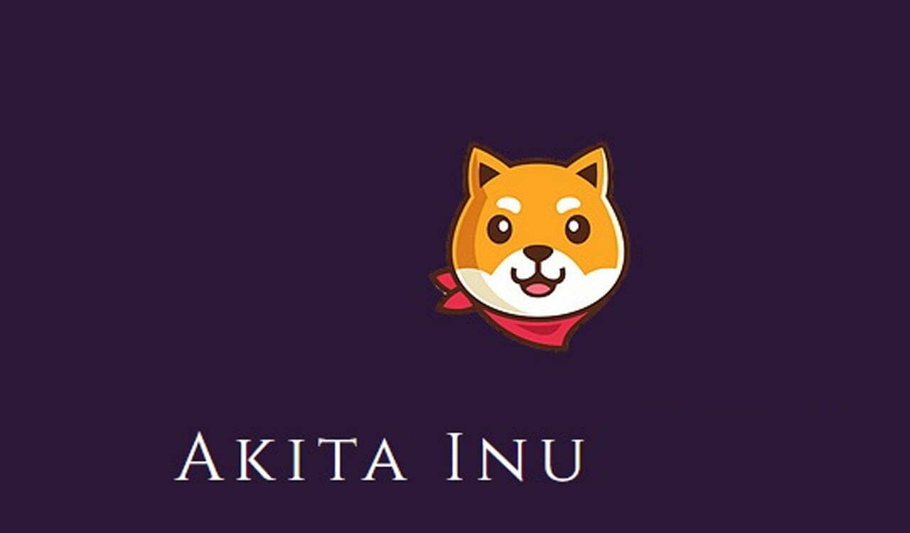 Akita Inu Nedir? AKİTA Coin - Coin Mühendisi