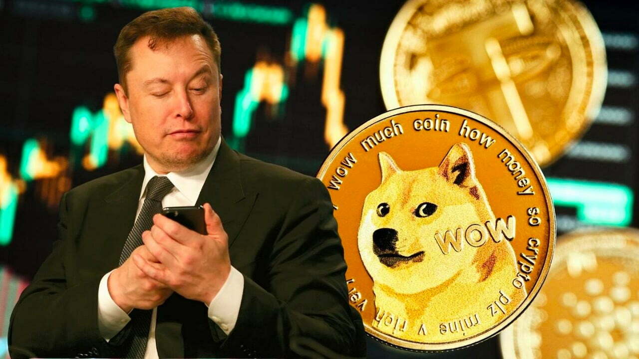 Dogecoin, Elon Musk Desteğiyle Güçleniyor Coin Mühendisi