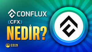 Conflux (CFX) Nedir?