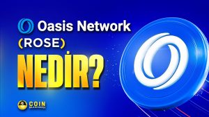 OASIS Network Nedi