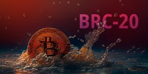 BRC 20-bitcoin