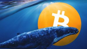 Bitcoin Balina,btc,balina,btc düşüş