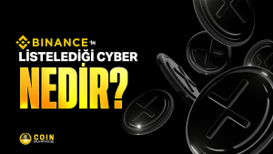 cyber nedir