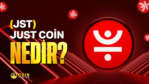 jst coin nedir