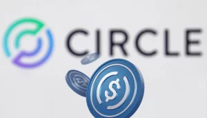 2024: Kripto ve Stablecoin Düzenlemeleri - Circle CEO’su Görüşü