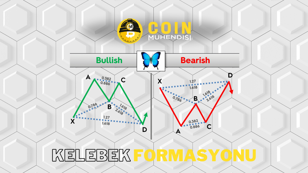 Kelebek Formasyonu 