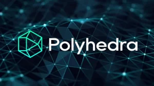Polyhedra Network Airdrop ve isim 
