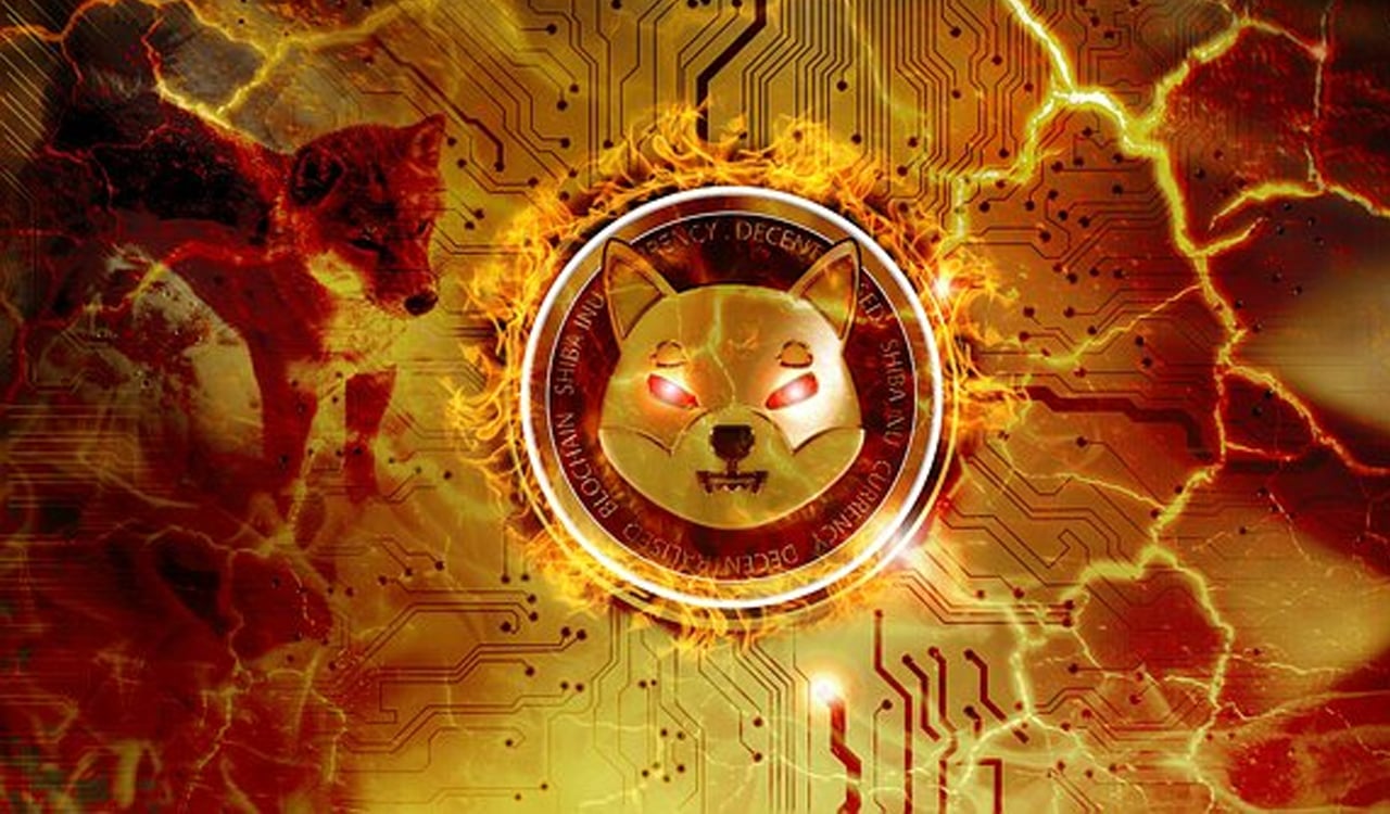 Shiba Inu Kaç Dolar? - Coin Mühendisi