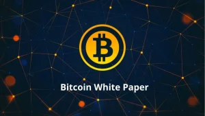 Craig Wright ve Bitcoin Whitepaper'ın Geri Dönüşü