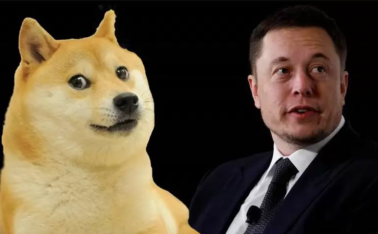 Dogecoin Anısına Elon Musk'ın Paylaşımı Fiyatı Nasıl Etkiledi?